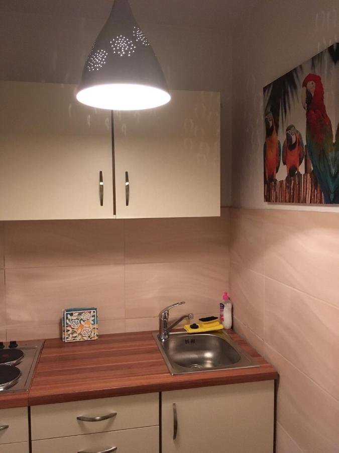Ferienwohnung Stadtmitte Wuerzburg מראה חיצוני תמונה